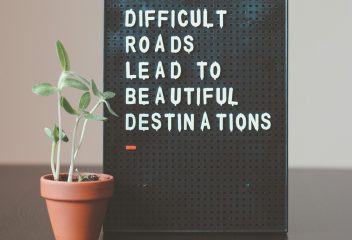 nik-z1d-LP8sjuI-unsplash nik-z1d-LP8sjuI-unsplash